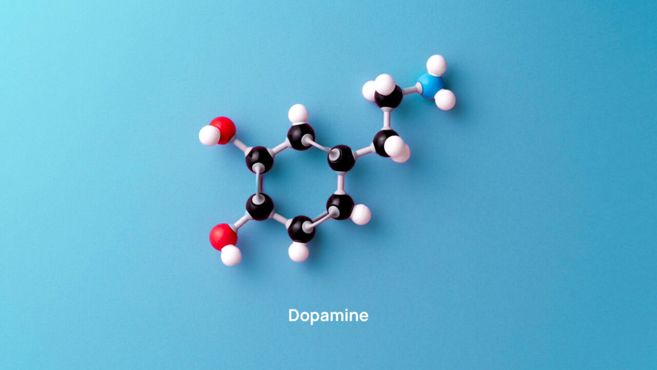 Immusmol I Antibodies & ELISA kits for Small Molecules Dopamine Quantification: A Researcher’s Guide to Workflows, Common Pitfalls, and Method Selection