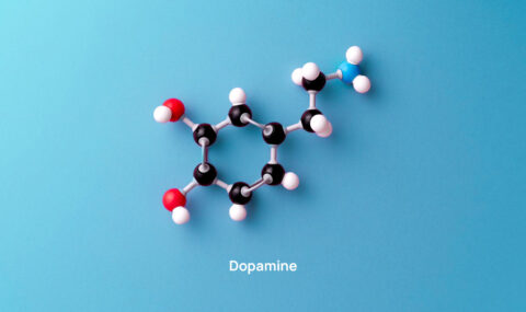 Dopamine Quantification: A Researcher’s Guide to Workflows, Common Pitfalls, and Method Selection