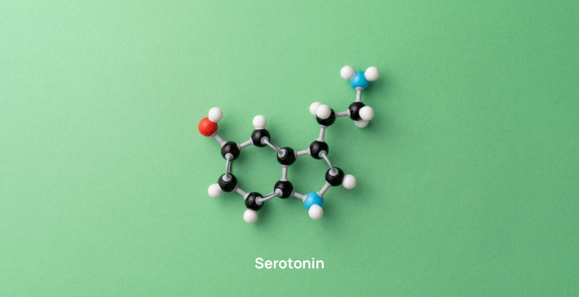 Serotonin Quantification: How to Measure 5-HT Reliably Across Biological Matrices