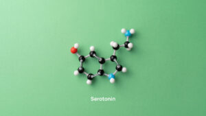 Immusmol I Antibodies & ELISA kits for Small Molecules Serotonin Quantification: How to Measure 5-HT Reliably Across Biological Matrices