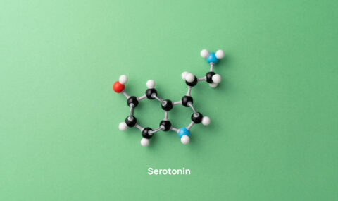Serotonin Quantification: How to Measure 5-HT Reliably Across Biological Matrices