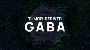 Immusmol I Antibodies & ELISA kits for Small Molecules Tumor-derived GABA and resistance to immunotherapy in TLS-positive tumors