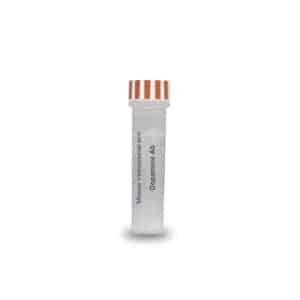 anti-dopamine antibody IS025 - mouse monoclonal
